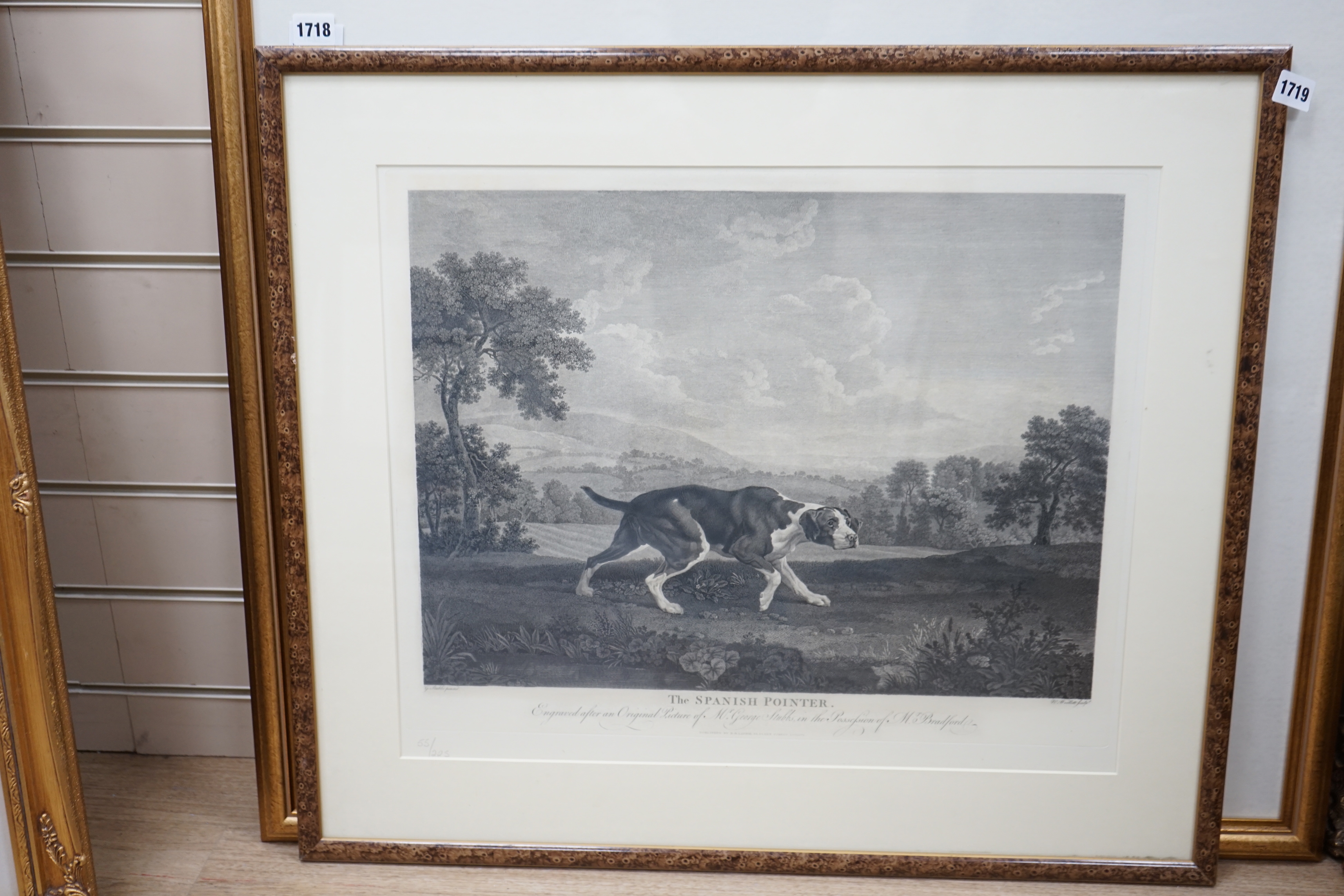 After George Stubbs (1724-1806), engraving, 'The Spanish pointer', limited edition 55/225, publ. by R H Laurie, Fleet Street, London, 47 x 56cm